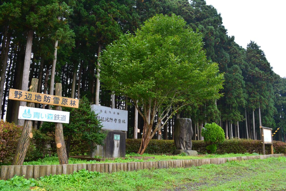 日本最古の鉄道防雪原林（鉄道記念物14号指定）