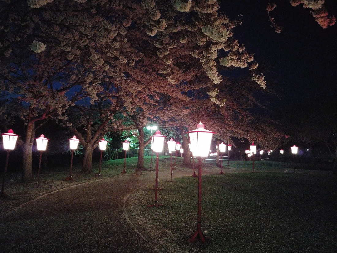 20180429_191832_Burst01 (3).jpg